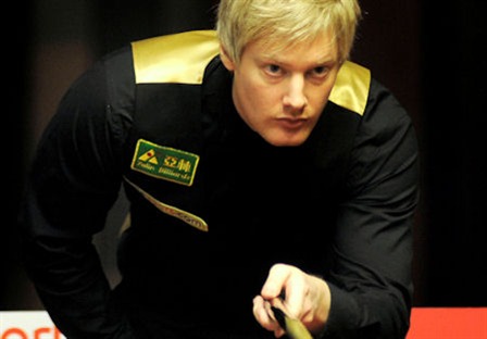 文化的适应 文化的适应