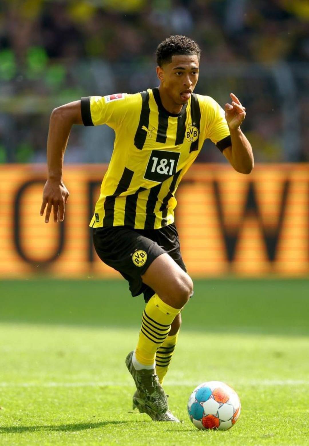 支付风控标 支付风控标