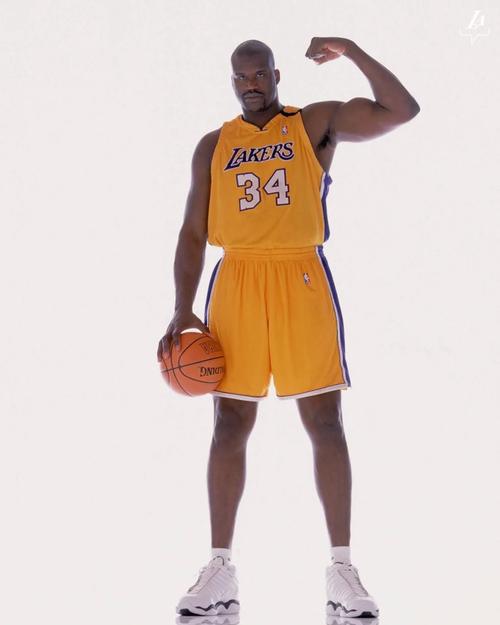 也延展了上 也延展了上